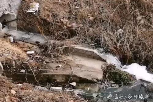 水污染视频,视频揭示的惊人真相与应对策略