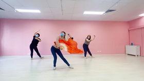 舞蹈九儿视频,探寻民间舞蹈的魅力与传承