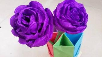 玫瑰教程视频,从入门到精通的园艺指南