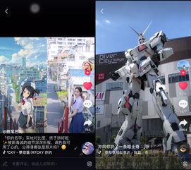 2次元视频,跟随2次元视频领略动画魅力