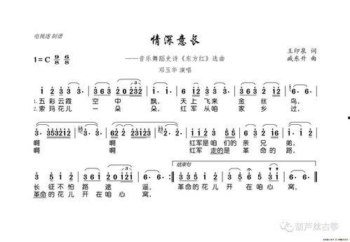 情深意长葫芦丝教学视频,轻松入门，感受民族音乐魅力