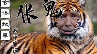 为虎作伥视频,视频背后的真相与警示