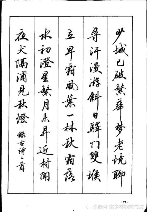 硬笔行书书法视频,轻松掌握行书之美