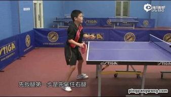 谷云峰乒乓球教学视频,揭秘乒乓球技巧与训练秘诀