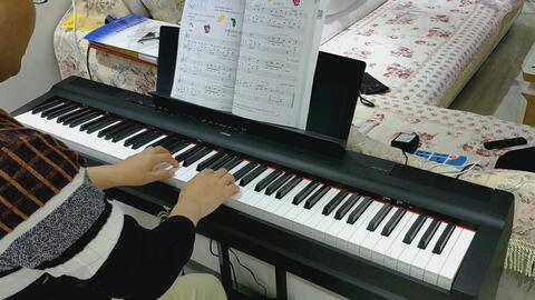 钢琴入门视频,入门视频精华解析