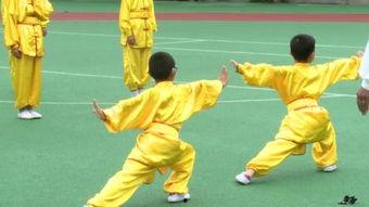 小学武术教学视频,传承国粹，强身健体新篇章