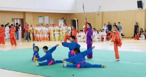 小学武术教学视频,传承国粹，强身健体新篇章