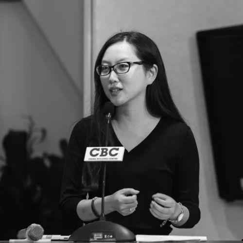 柳青视频,探寻历史与现代交融的视觉盛宴