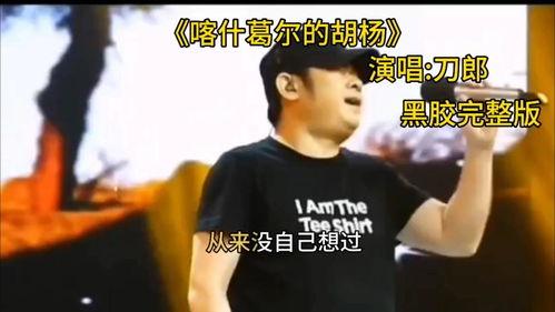 刀郎的视频,探寻民谣灵魂的共鸣之声