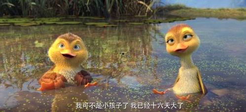 鸭子动画视频,趣味横生的萌宠演绎