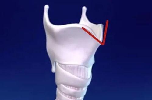 声带视频,视频解析声带振动之美