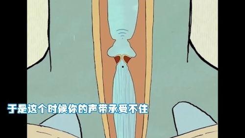 声带视频,视频解析声带振动之美