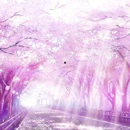 动漫唯美视频,唯美视觉盛宴