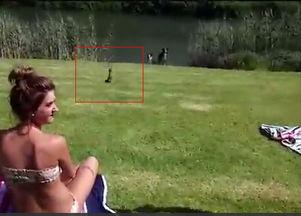 钓蛇视频,揭秘野外生存技巧与勇气瞬间