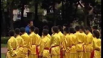 五步拳视频,传统武术招式解析与实战技巧