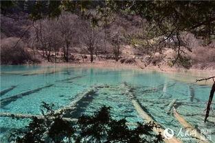 人间仙境视频,探寻绝美风光的秘境之旅