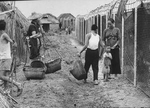大逃港视频,揭秘上世纪香港逃港潮的悲壮历程