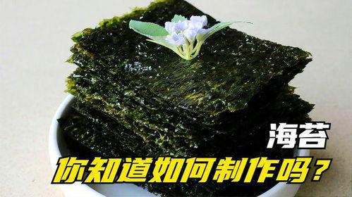 海苔制作视频,轻松学会家常美味