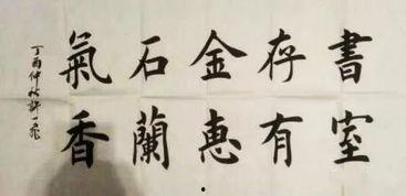 写书法的视频,书法艺术之美，视频教程带你领略