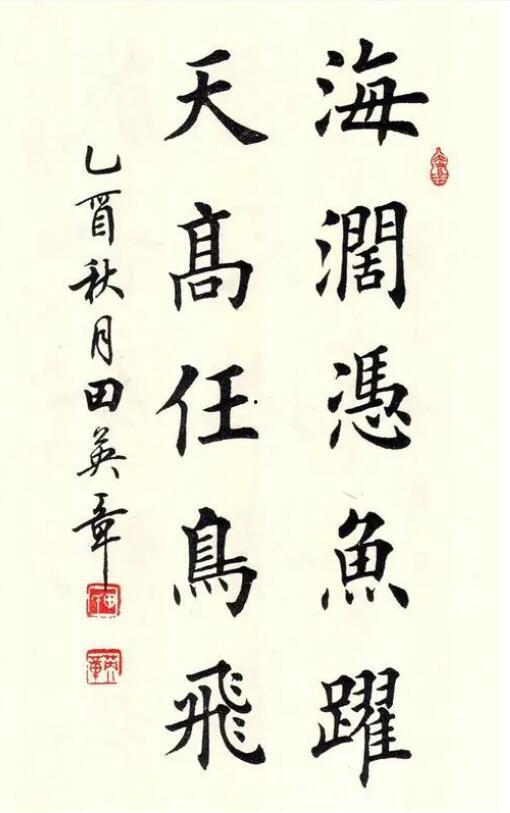 写书法的视频,书法艺术之美，视频教程带你领略