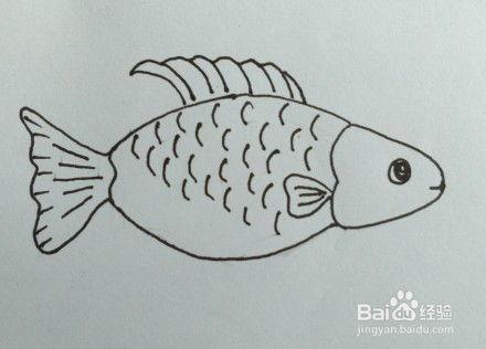 鱼的画法视频,跟随画法视频学绘鱼技巧