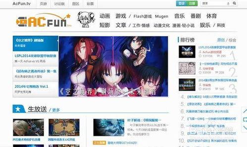 A站视频,揭秘XX背后的故事