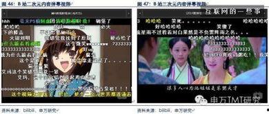 A站视频,揭秘XX背后的故事