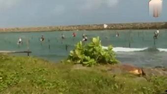 海上钓鱼视频,捕捉海洋之美