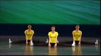 中国舞考级视频,舞动青春，展现民族风采