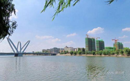 今日随州瓜园新闻,瓜园丰收，助力乡村振兴