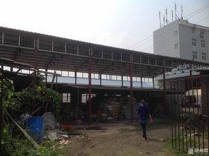 今日随州瓜园新闻,瓜园丰收，助力乡村振兴