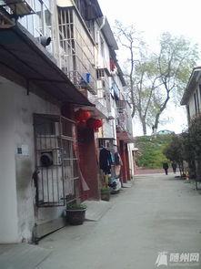 今日随州瓜园新闻,瓜园丰收，助力乡村振兴