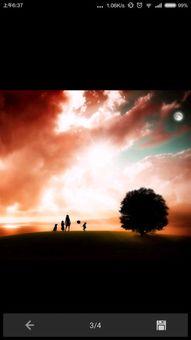 有意境的视频,探寻视频中的诗意世界