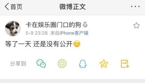 吃瓜爆料小文字怎么写,吃瓜爆料小文字背后的真相与内幕