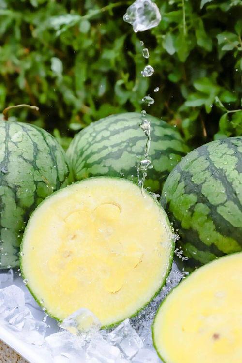 五一黑料吃瓜群在线观看