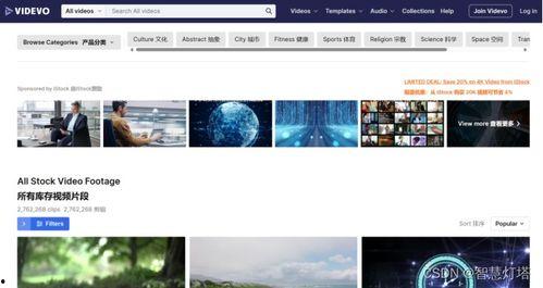 视频下载网站 免费,轻松获取海量影视资源
