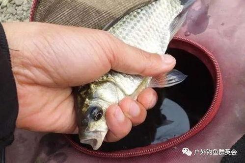 竿竿视频,揭秘户外探险的精彩瞬间