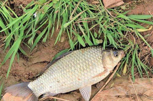 竿竿视频,揭秘户外探险的精彩瞬间