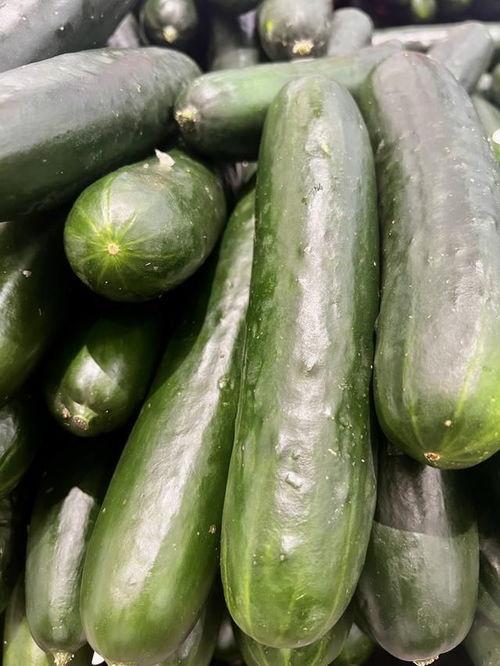 今日大白瓜多少钱一斤,每斤XX元