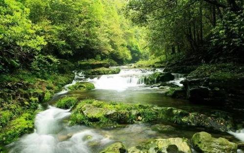 山清水秀视频,探寻自然之美的人间仙境