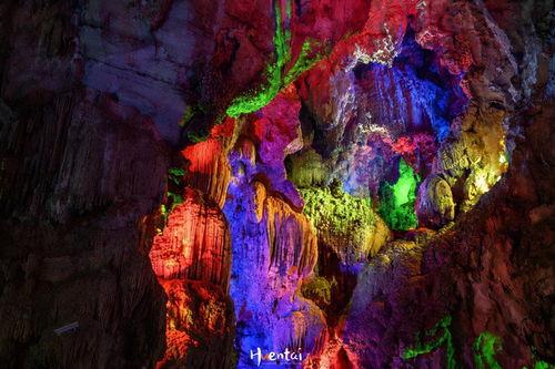 龙宫视频,揭秘神秘海底王国的奇幻之旅