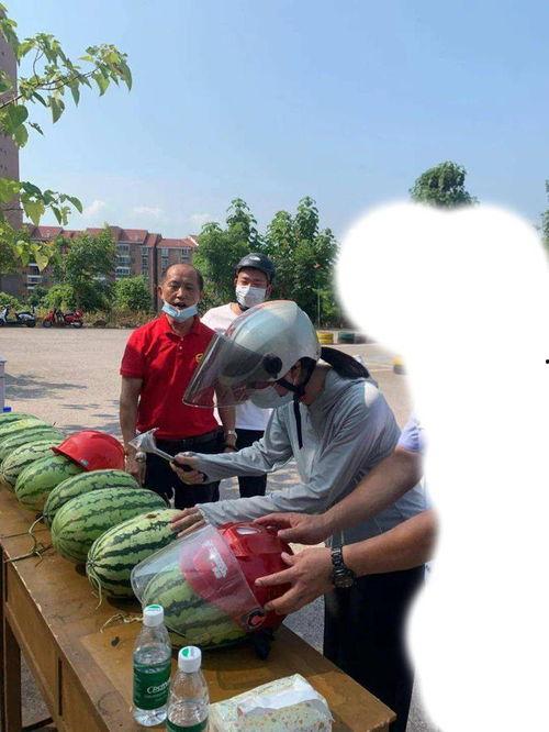 今日吃瓜唐山,今日热点事件深度解析