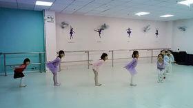 小燕子舞蹈视频