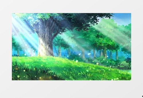 唯美风景视频素材,绝美风景视频集锦