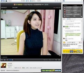 韩国直播视频全集在线,精彩瞬间回顾与亮点解析