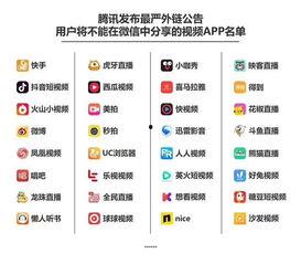 视频外链,[视频外链标题]背后的精彩瞬间