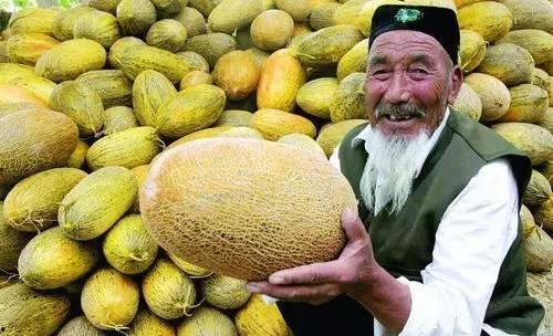 今日哈密瓜热点,甜蜜诱惑，健康之选，探寻新疆瓜果传奇