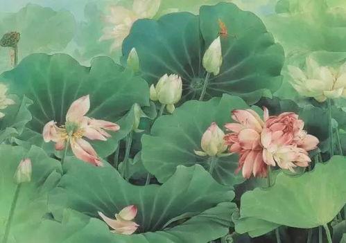 徐湛画荷花视频