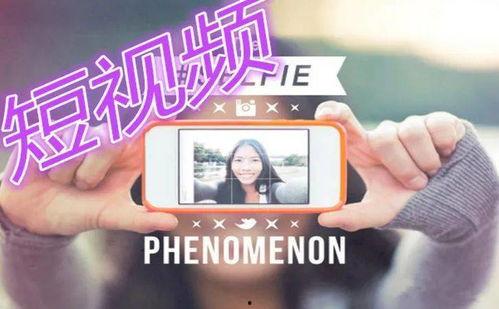 最火的短视频,揭秘爆款内容背后的秘密