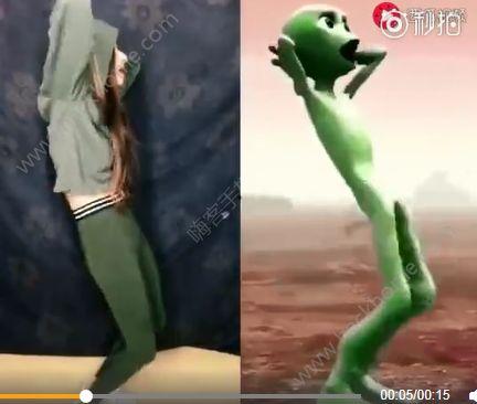 青蛙跳舞视频,捕捉自然之美瞬间